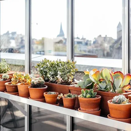 Apartament Great To I Gandawa