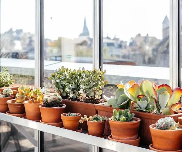 公寓 Great To I 根特